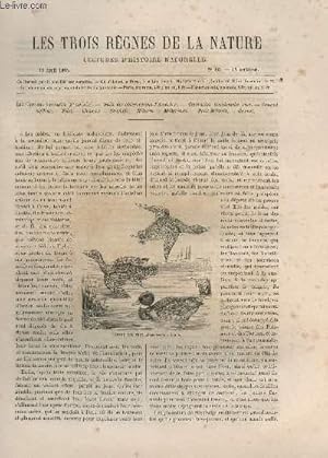 Seller image for LES TROIS REGNES DE LA NATURE - LECTURES D'HISTOIRE NATURELLE / DEUXIEME ANNEE - N68 - 15 AVRIL 1865 / LES CANARDS SAUVAGES '2e ARTICLE) - SUIT EDES OBSERVATIONS D'AUDUCHON ETX. for sale by Le-Livre