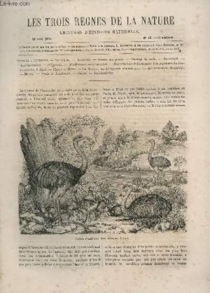 Seller image for LES TROIS REGNES DE LA NATURE - LECTURES D'HISTOIRE NATURELLE / DEUXIEME ANNEE - N69 - 22 AVRIL 1865 / SUITE DE L'AUTRUCHE for sale by Le-Livre