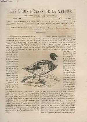 Seller image for LES TROIS REGNES DE LA NATURE - LECTURES D'HISTOIRE NATURELLE / DEUXIEME ANNEE - N74 - 27 MAI 1865 / LES CANRDS SAUVAGES - (3e ARTICLE). for sale by Le-Livre