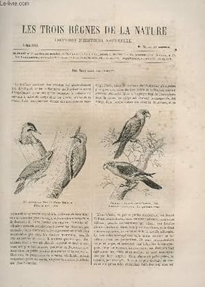 Seller image for LES TROIS REGNES DE LA NATURE - LECTURES D'HISTOIRE NATURELLE / DEUXIEME ANNEE - N75 - 3 JUIN 1865 / DES SENS CHEZ LES OISEAUX . for sale by Le-Livre