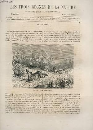 Seller image for LES TROIS REGNES DE LA NATURE - LECTURES D'HISTOIRE NATURELLE / DEUXIEME ANNEE - N77 - 17 JUIN 1865 / LE LOUP (SUITE). for sale by Le-Livre