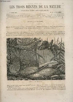 Seller image for LES TROIS REGNES DE LA NATURE - LECTURES D'HISTOIRE NATURELLE / DEUXIEME ANNEE - N79 - 1er JUILLET 1865 / LES RAVAGEURS DES FORETS (1ere PARTIE) : INVASION PAR LES INSECTES - MANGEURS DE : BOIS, DE FEUILLES ETC. for sale by Le-Livre