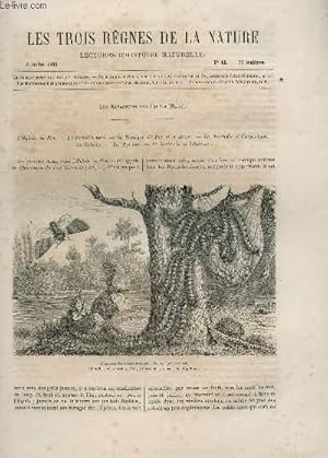 Seller image for LES TROIS REGNES DE LA NATURE - LECTURES D'HISTOIRE NATURELLE / DEUXIEME ANNEE - N80 - 8 JUILLET 1865 / LES RAVAGEURS DES FORETS (SUITE) / L'HYLOBE DU PIN - LE PISSODES NOTE - LES PYRALES ETC. for sale by Le-Livre