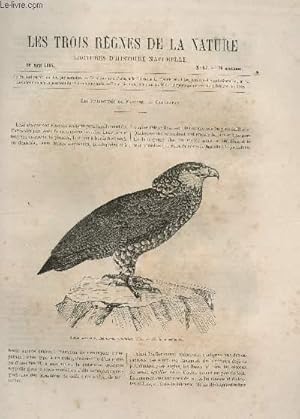 Seller image for LES TROIS REGNES DE LA NATURE - LECTURES D'HISTOIRE NATURELLE / DEUXIEME ANNEE - N87 - 26 AOUT 1865 / LES FALCONIDES OU FAUCONS (1ere PARTIE) / CARACABAS. for sale by Le-Livre