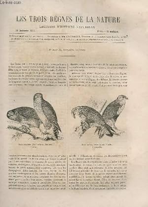 Seller image for LES TROIS REGNES DE LA NATURE - LECTURES D'HISTOIRE NATURELLE / DEUXIEME ANNEE - N90 - 16 SEPTEMBRE 1865 / 3e SUITE DES FALCONIDES - BUSES. for sale by Le-Livre