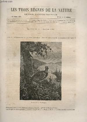 Seller image for LES TROIS REGNES DE LA NATURE - LECTURES D'HISTOIRE NATURELLE / DEUXIEME ANNEE - N94 - 14 OCTOBRE 1865 / LES TETRAS (SUITE) - ALOUETTES (SUITE). for sale by Le-Livre