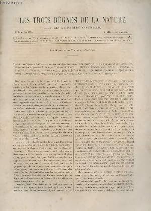 Seller image for LES TROIS REGNES DE LA NATURE - LECTURES D'HISTOIRE NATURELLE / DEUXIEME ANNEE - N103 - 16 DECEMBRE 1865 / LES MANGEURS DE TERRE ET L'INSECTES / L'APPETIT - CAPRICES DE L'ESTOMAC - SON ROLE DANS L'ENSEMBLE DE LA PATHOLOGIE ETC. for sale by Le-Livre