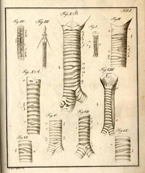 De chondrogenesi asperae arteriae et de situ oesophagi abnormi nonnulla.