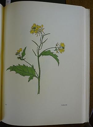 Das Blumenbuch. Achtzig Zeichnungen, in Holz geschnitten von Fritz Kredel.