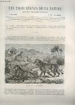 Seller image for LES TROIS REGNES DE LA NATURE - LECTURES D'HISTOIRE NATURELLE / TROISIEME ANNEE - N138 - 18 AOUT 1866 / LES FELINS (SUITE) - SUITE DU LION - DESCRIPTION DE LA LIONNE PAR LACEPEDE - CHASSE AU LION EN ALGERIE ET AU CAP - LE LION DU SUD DE L'AFRIQUE ETC. for sale by Le-Livre