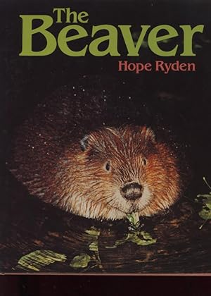 Immagine del venditore per The Beaver venduto da Frank's Duplicate Books
