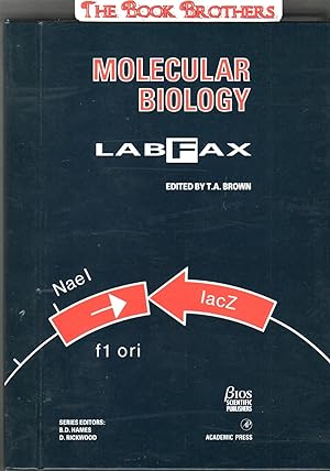 Image du vendeur pour Molecular Biology Labfax mis en vente par THE BOOK BROTHERS
