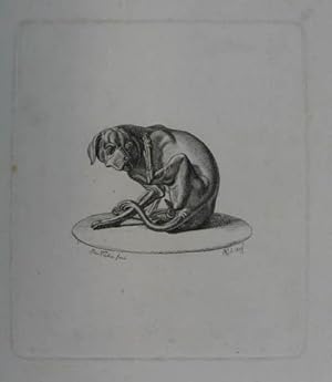 Radierung "Hund". Links unten in der Platte sign "Peter Vischer fund.", rechts unten "K. sc. 1829...