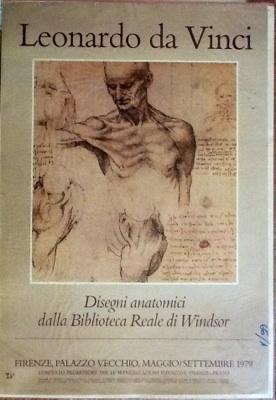Disegni Anatomici Della Biblioteca Reale Di Windsor