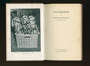 Seller image for Dachshunds for sale by Little Stour Books PBFA Member