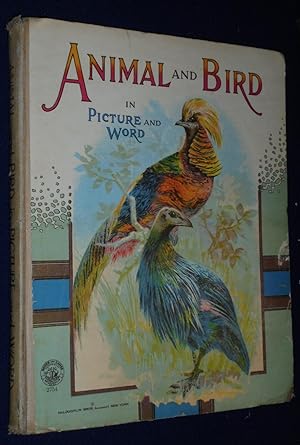 Animal and Bird in Picture and Word