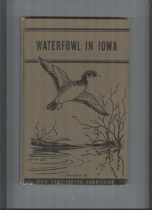 Waterfowl In Iowa
