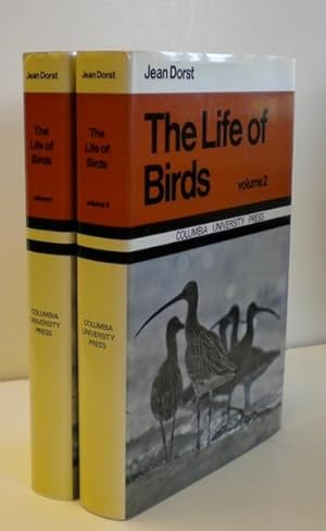 The Life Of Birds