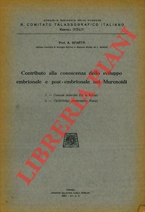 Contributo alla conoscenza dello sviluppo embrionale e post-embrionale nei Murenoidi. I. Coecula ...