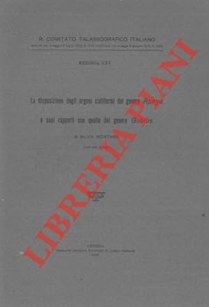 La disposizione degli organi ciatiformi del genere Aphya e suoi rapporti quella del genere Gobius.