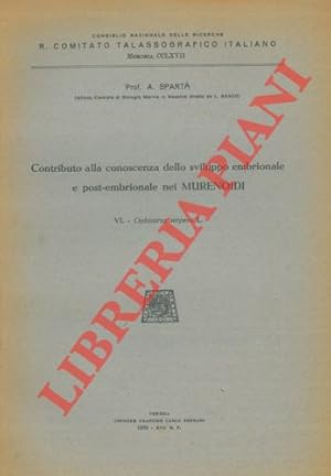 Contributo alla conoscenza dello sviluppo embrionale e post-embrionale nei Murenoidi. VI. Ophisur...