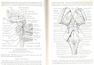 The Basis of Clinical Neurology : the anatomy and physiology of the nervous system in their appli...