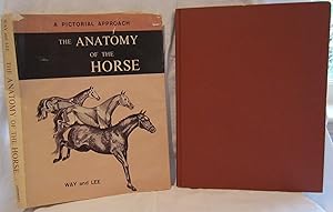 Seller image for ANATOMY of the HORSE (HC w/DJ) for sale by Larimar Animal Books