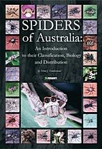 Spiders of Australia