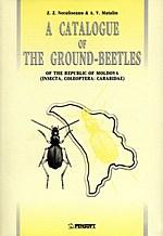 A Catalogue of the Ground-Beetles of the Republic of Moldova (Insecta, Coleoptera: Carabidae)