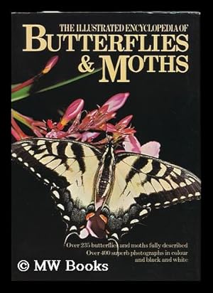 Seller image for The Illustrated Encyclopedia of Butterflies & Moths / by V. J. Stane? K ; Edited by Brian Turner ; [Translated from the Czech by Vera Gissing] for sale by MW Books Ltd.