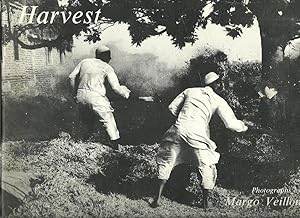 Seller image for HARVEST Photographs By Margo Veillon for sale by Books for Amnesty, Malvern