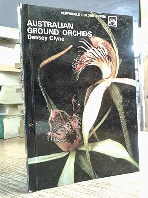 Australian ground orchids (Periwinkle colour series)