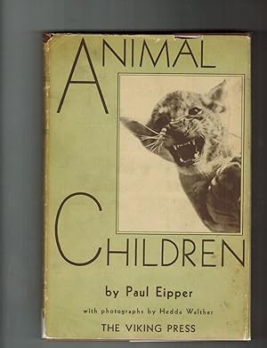 ANIMAL CHILDREN