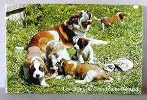 LES CHIENS DU GRAND-SAINT-BERNARD ET LEURS SAUVETAGES