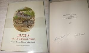 Ducks Of Sub-Saharan Africa