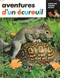 Aventures D'un Écureuil