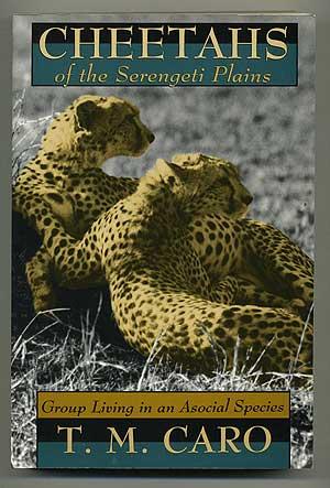 Seller image for Cheetahs of the Serengeti Plains: Group Living in an Asocial Species for sale by Between the Covers-Rare Books, Inc. ABAA