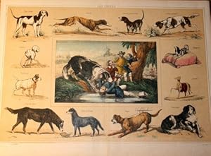 Image du vendeur pour 46 (von 48 ?) doppelblattgroe kolorierte Lithographien aus: Les Recreations instructives sur les animaux, les arts et metiers, l'agriculture, l'industrie, les sciences et autres sujets varies. mis en vente par Antiquariat am St. Vith