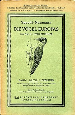 Imagen del vendedor de Die Vgel Europas. Gemeinverstndliche Beschreibung (Schriften des Deutschen Lehrervereins fr Naturkunde). a la venta por Antiquariat & Buchhandlung Rose