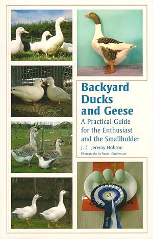 Imagen del vendedor de BACKYARD DUCKS AND GEESE: A PRACTICAL GUIDE FOR THE ENTHUSIAST AND THE SMALLHOLDER. By J.C. Jeremy Hobson. a la venta por Coch-y-Bonddu Books Ltd