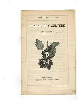 Imagen del vendedor de BLACKBERRY CULTURE a la venta por Jim Hodgson Books