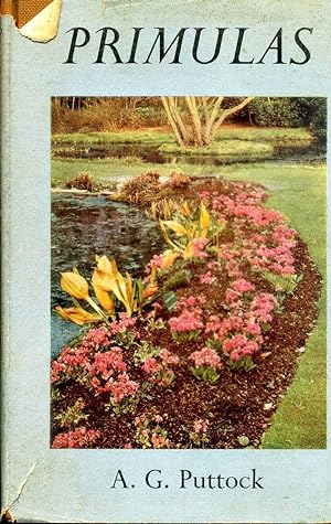 Seller image for Primulas for sale by Pendleburys - the bookshop in the hills