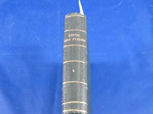 Imagen del vendedor de Etude des fleurs. Botanique lmentaire, descriptive et usuelle. 5eme dition entirement revue et considrablement augmente.TOME 1 (seul) : botanique lmentaire et clefs analytiques a la venta por librairie le vieux livre