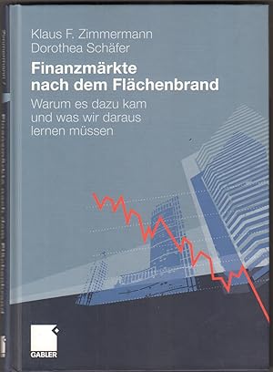 Bild des Verkufers fr Finanzmrkte nach dem Flchenbrand. Warum es dazu kam und was wir daraus lernen mssen. zum Verkauf von Antiquariat Neue Kritik