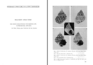 Seller image for The genus Nodilittorina von Martens, 1897, in the Red Sea: new data. In 8vo, original wrappers, pp. 6 with 5 figs. Offprint from Boll. Mal., 20(1-4) for sale by NATURAMA