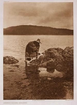 Gathering Abalones - Nakoaktok [Male in Cedar-Bark Clothes Hunting in Tidal Pool]