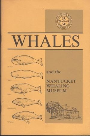 WHALES AND THE NANTUCKET WHALING MUSEUM.