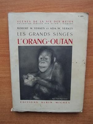 Bild des Verkufers fr LES GRANDS SINGES : l'ORANG-OUTAN zum Verkauf von KEMOLA