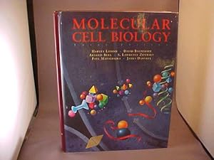 Imagen del vendedor de Molecular Cell Biology a la venta por Gene The Book Peddler