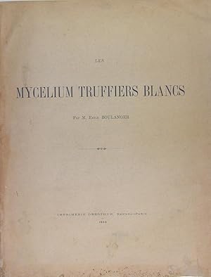MYCELIUM TRUFFIERS BLANCS